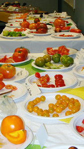A tomato-tasting program proved to be a favorite community event at the Fairfield Woods seed library, bringing together about 45 people to see, taste, and discuss the different tomato varieties.