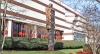 RWWL-MotherTree-HBCU-article.jpg