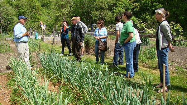 At the Fairfield Woods branch in Connecticut, library volunteer Eric Frisk gives a lesson in the library’s community garden plot.