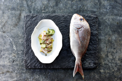 Madai Snapper Crudo at Nico Osteria; photo: Derek Richmond