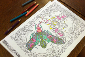 Woods Hole (Mass.) Public Library holds monthly coloring book clubs. The event attracts 15–20 people per month, ranging from tweens to 70 year olds.