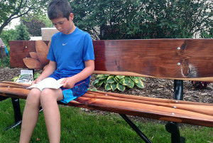 Columbus (Wis.) Public Library created a pilot art bench project in which local artists were asked to paint seven benches that were later distributed throughout town. The project received funding from the Libraries Transforming Communities initiative.