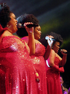 The IFLA Congress always provides a “cultural evening” that offers a musical, culinary, and choreographic taste of the host country. The musical highlight was a powerful performance by 3 Tons of Fun, Cape Town’s most popular all-female group, who belted out American soul classics as well as South African pop tunes. Photo: George M. Eberhart