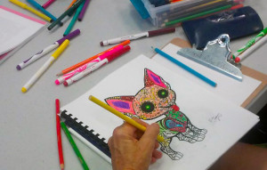 Many libraries purchase coloring books or print free pages online for their clubs. Other supplies—such as crayons, markers, and coloring pencils—are also provided.