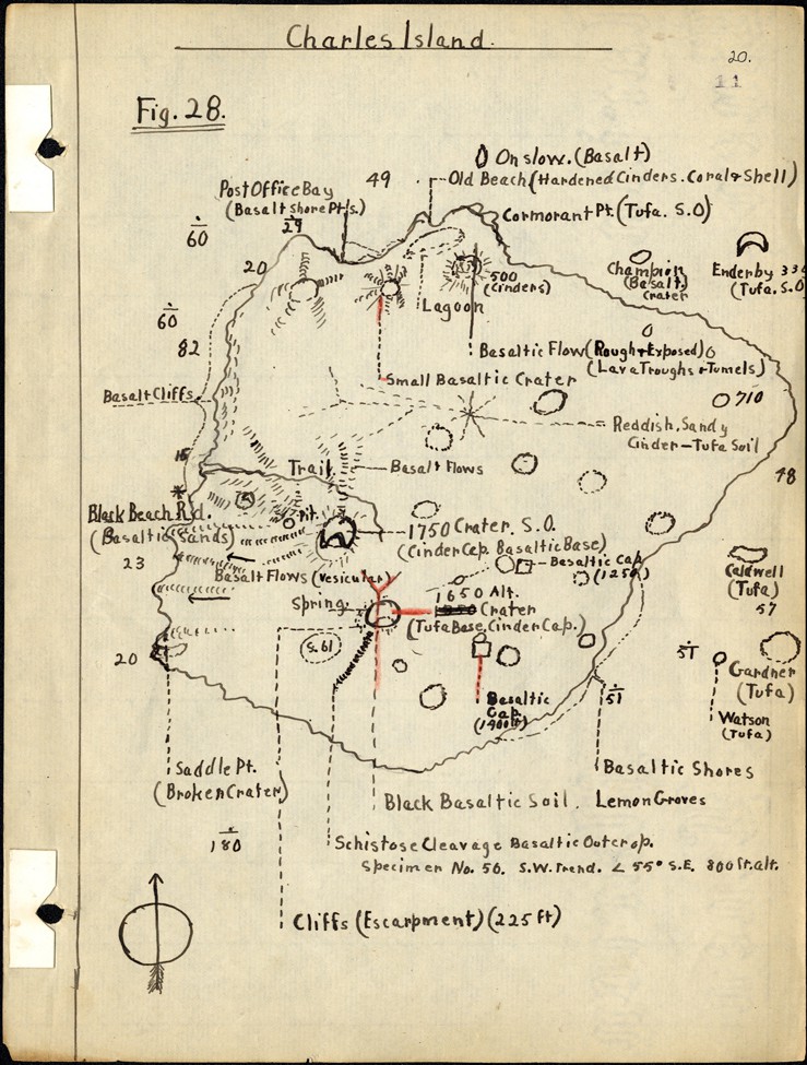 In 1905, the California Academy of Sciences sent 11 men off for a year and a day on an 85-foot schooner destined for the Galapagos Islands. Twenty-six-year-old Washington Henry Ochsner travelled as the expedition’s geologist, and his field book from the expedition, contributed to BHL by the California Academy of Sciences, represent a close and careful record of his scientific observations, including geological survey information and inferences about how geological features were formed.