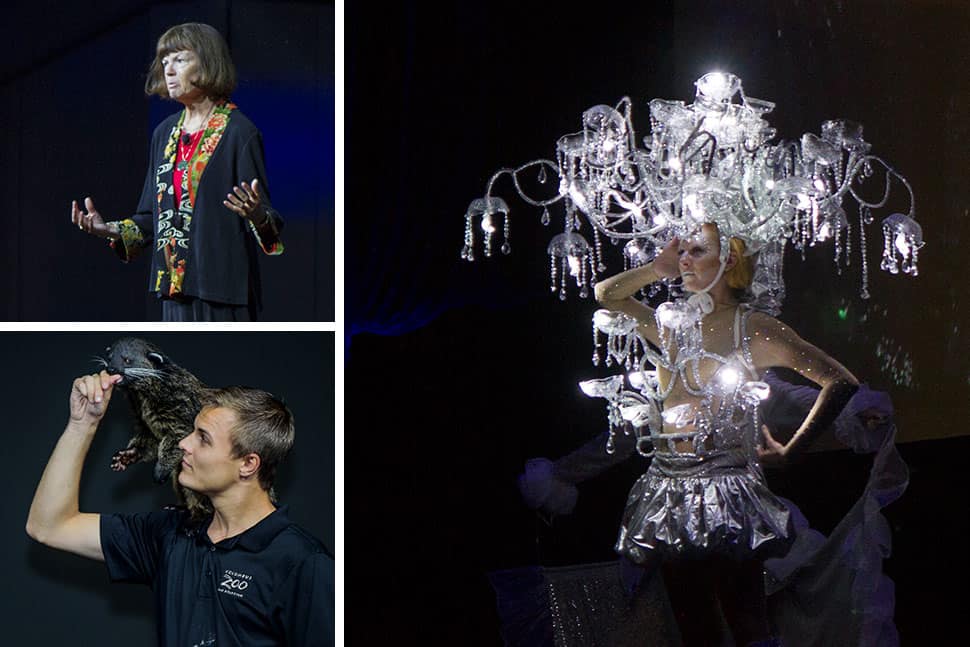 Scenes from the opening session, clockwise from top: IFLA President Donna Scheeder; Ohio inventors, including lightbulb creator Thomas Edison, were highlighted through costume and song; a handler with a binturong ambassador from the Columbus Zoo and Aquarium. Photos: Rebecca Lomax/American Libraries; Dane Khy/Columbus Metropolitan Library (zoo)