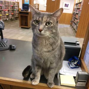 Trixie, Independence Public Library, Independence, Kansas
