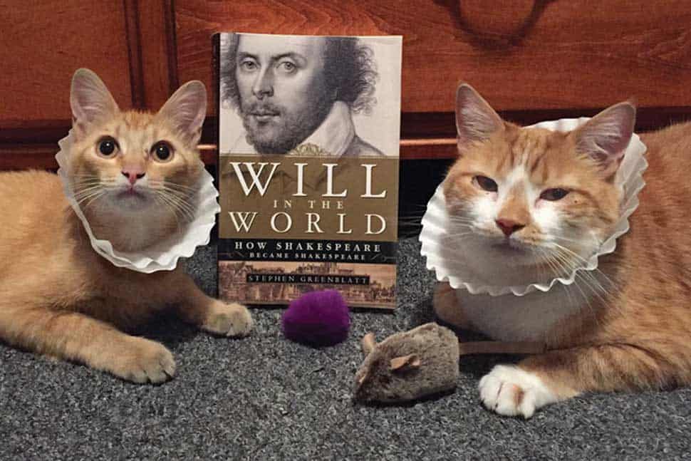 At Centre County (Pa.) Library and Historical Museum, librarian Lisa Shaffer posts pictures of her cats to the library's Facebook and Twitter accounts for “Saturday Caturday.” Here, Marmie and Horatio celebrate Shakespeare’s birthday.