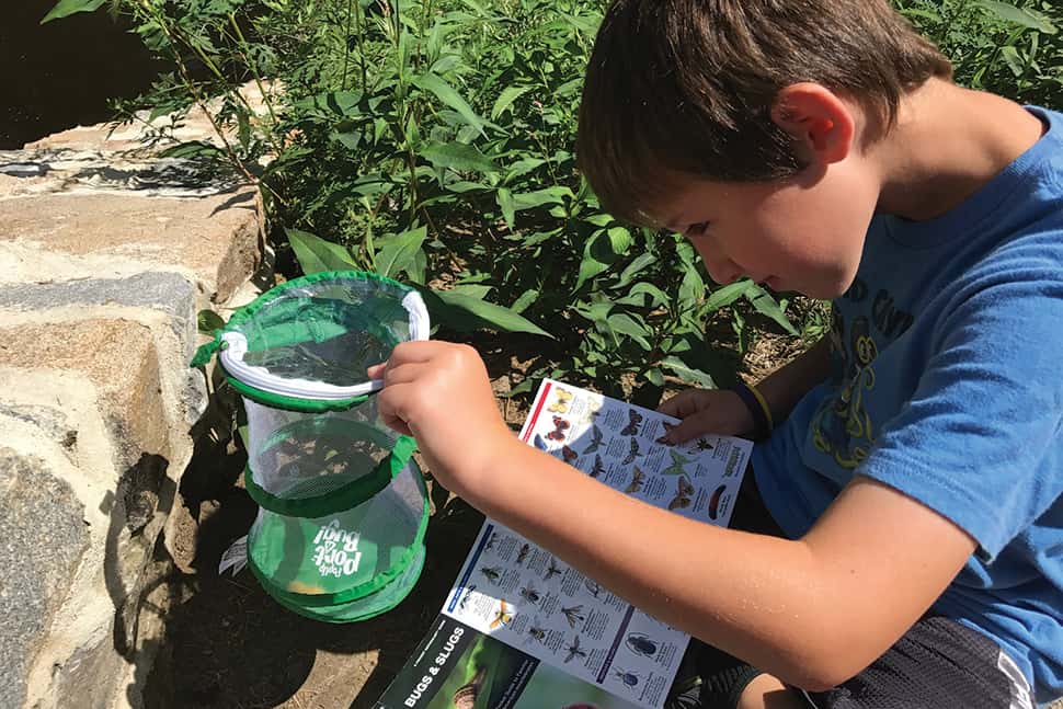 At Pocahontas State Park in Chesterfield, Virginia, Mitchell Scheid uses supplies from his library backpack to examine local insect life. Photo: Lisa Scheid