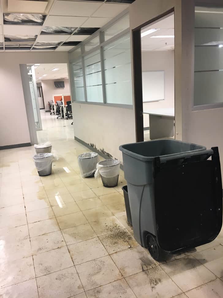 Severe mold and water damage on the UPR-Rio Piedras campus.