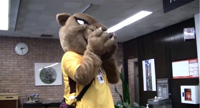 Pounce helps himself to the candy at the reference desk.