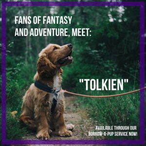 Tolkien, from James Madison University Libraries' Borrow-a-Pup service