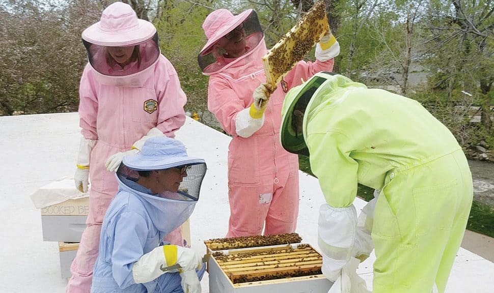 The BeeChicas tend to one of two rooftop beehives at Boulder (Colo.) Public Library. (Photo: The Bee Chicas)