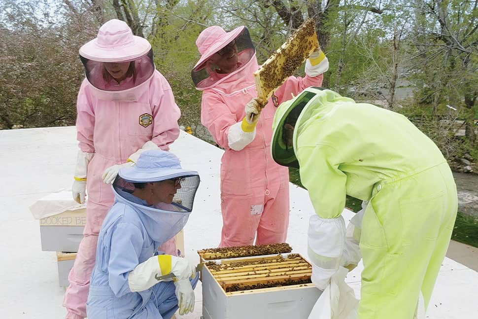 The BeeChicas tend to one of two rooftop beehives at Boulder (Colo.) Public Library. (Photo: The Bee Chicas)