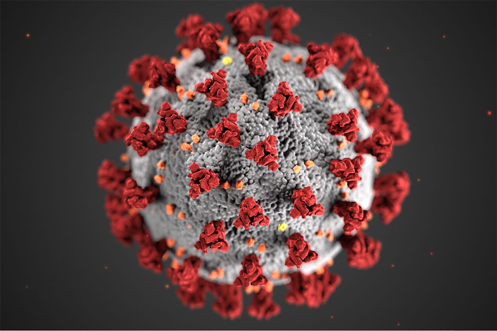 Novel coronovirus 19 (Image: Centers for Disease Control and Prevention)