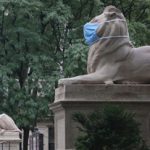 The lions, who celebrated their 109th birthday in May, sit 90 feet apart, flanking the steps of the majestic Beaux-Arts library building at Manhattan’s Fifth Ave. and 42nd St. (Photo: Andrew Schwartz/New York Daily News)