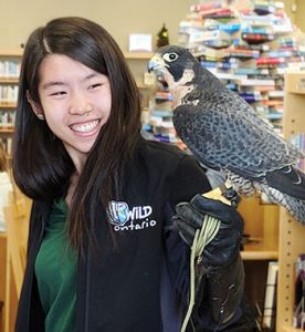 Photo of a young woman with a bird during a Wild Ontario event at Guelph (Ont.) Public Library