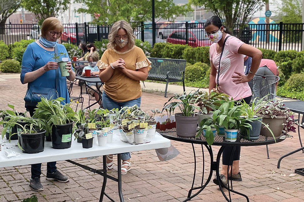 In 2020, Bloomington (Ill.) Public Library began holding plant swap programs, designed to be held outdoors during the ongoing COVID-19 pandemic.