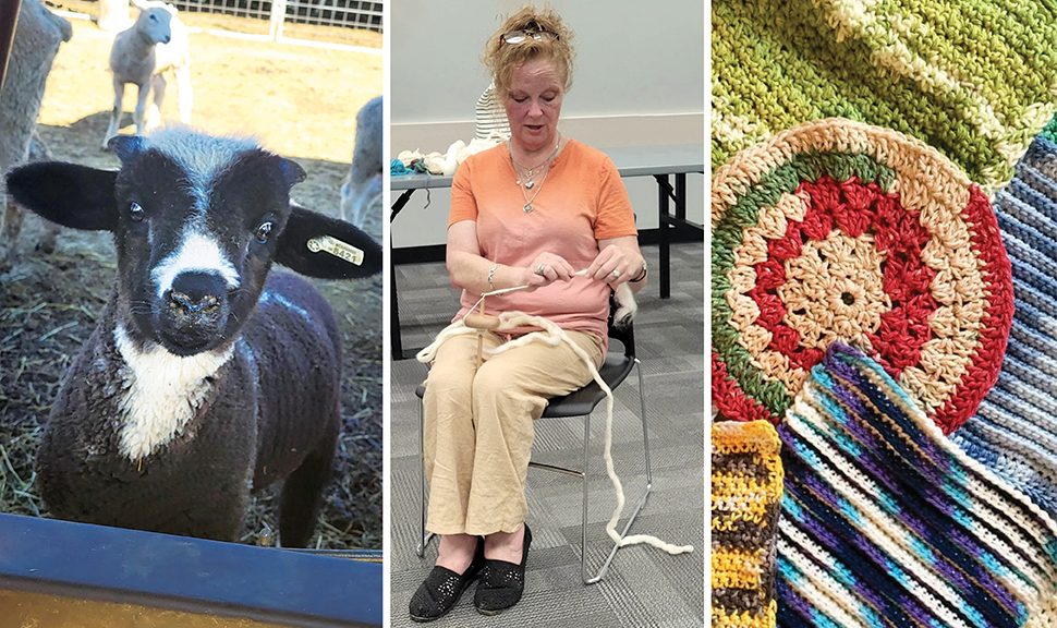 A sheep, a woman knitting, and knitted potholders