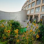 Photo of Salt Lake City Public Library's community garden.