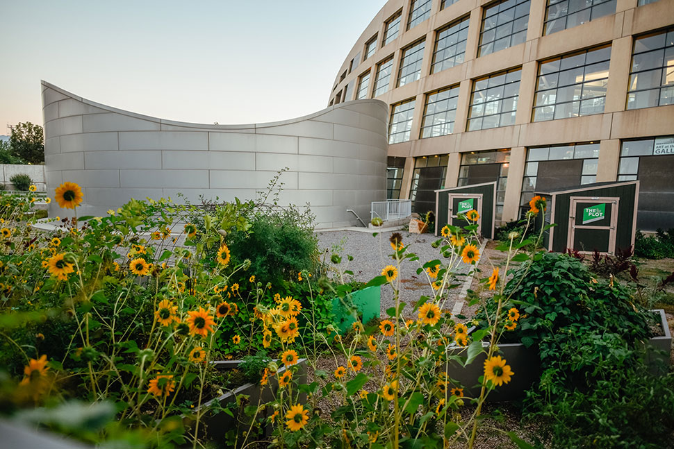 Photo of Salt Lake City Public Library's community garden.