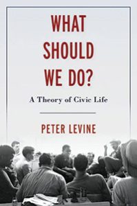 Book cover of What Should We Do? A Theory of Civic Life