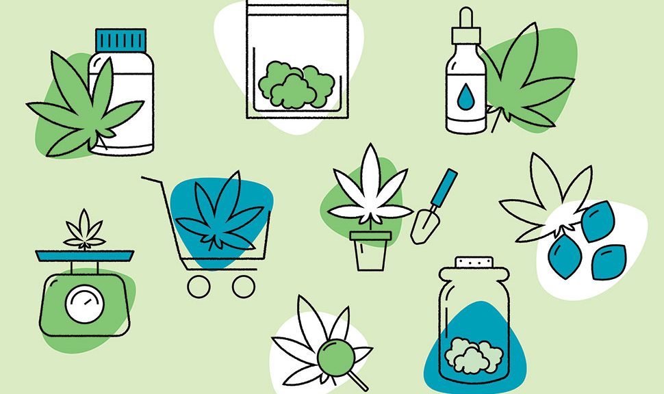 Illustration of cannabis in many forms and at various phases of production