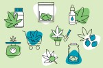 Illustration of cannabis in many forms and at various phases of production