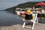 Rubber duck enjoying a book in the summer sun.