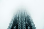 Skyscraper vanishing into fog