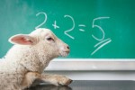 Sheep doing math wrong