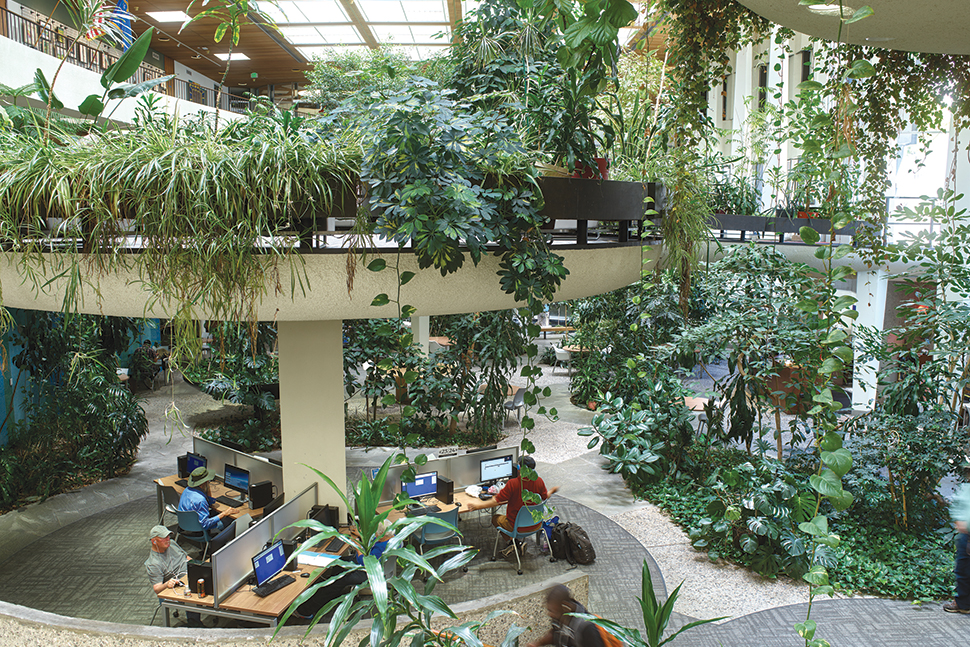 Photo of the indoor garden at Downtown Reno Library of Washoe County (Nev.) Library Syste