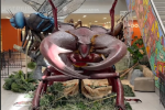 Giant bug exhibit at Columbus Metropolitan Library