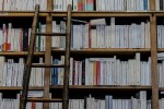 Bookshelves with a ladder climbing to them