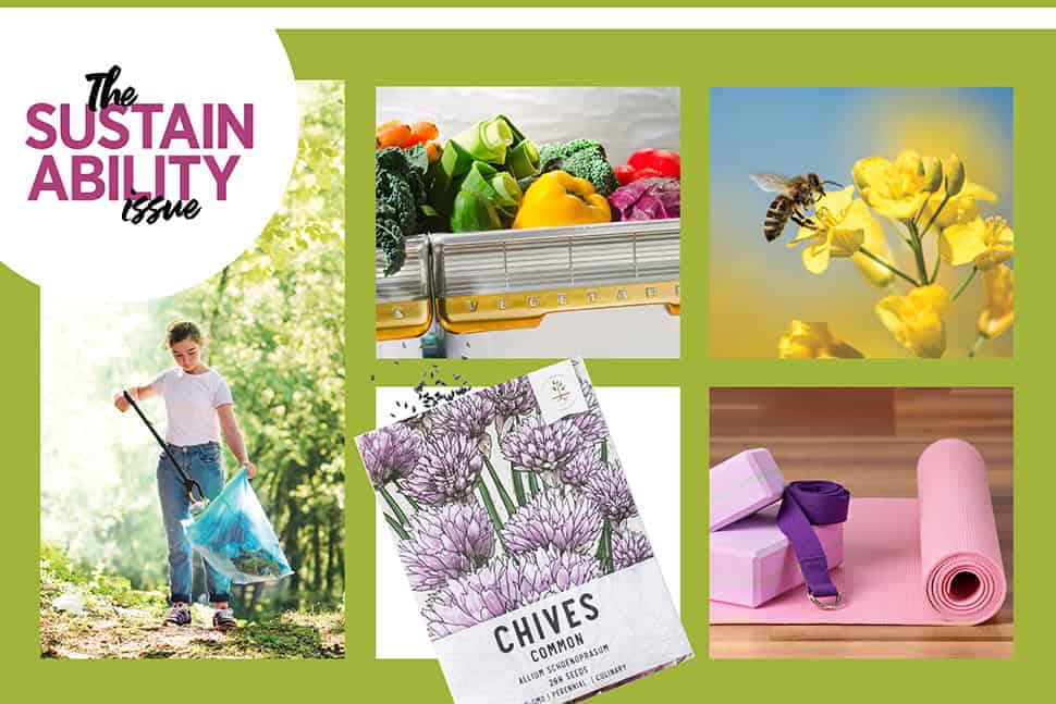 Grid of images including a person picking up trash, a seed packet, vegetables, a bee and flower, and a yoga mat and blocks