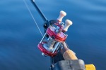 Fishing reel.