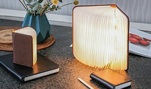 Book-shaped reading lamps