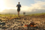 Snail crossing a path after trailrunners pass