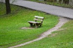 Desire path near a paved path in a park